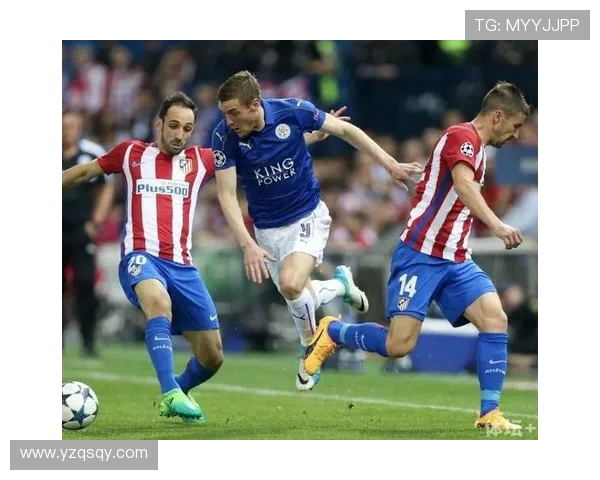 英超各球队的赛事大巴使用情况分析